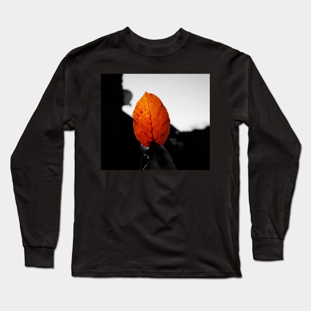 What can I use autumn leaves for? Long Sleeve T-Shirt by fantastic-designs